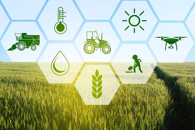 Elemen kegiatan pada pertanian (sumber: pixabay)