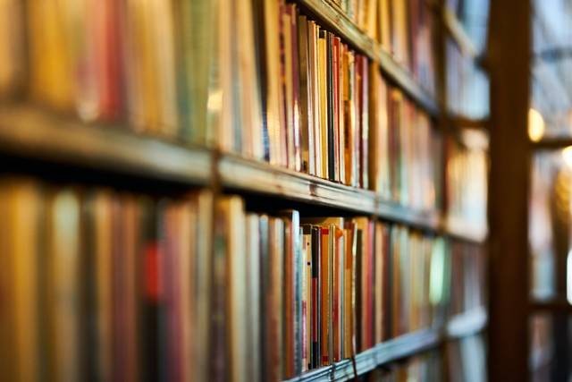 Ilustrasi arti historia magistra vitae. Foto: Unsplash.