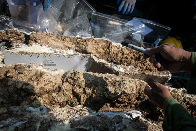 Tim Penyelamatan Museum Purbakala dan Cagar Budaya Sangiran mengangkat fosil gading gajah purba yang ditemukan di Desa Ngebung, Kalijambe, Sragen, Jawa Tengah, Rabu (2/8/2023). Foto: Mohammad Ayudha/Antara Foto