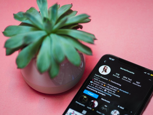ilustrasi Cara agar Pengikut Instagram Banyak . Unsplash/Laura Chautte.