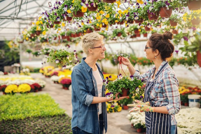 Ilustrasi vendor. Foto: Unsplash.com