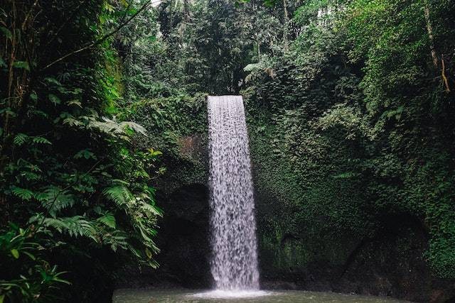 Ilustrasi lokasi tempat foto di Bogor, sumber foto: pexels.com/Huy Phan