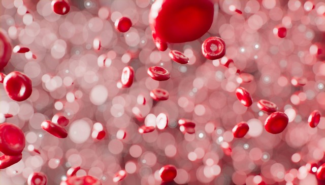 Ilustrasi Cara Menambah Hemoglobin dalam Darah. Sumber: Unsplash/Anirud.