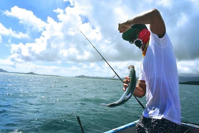 Ilustrasi umpan ikan patin sungai (Gambar: unsplash.com)