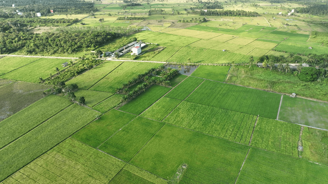 Wisata Padi (Photo : Gibran Himawan)