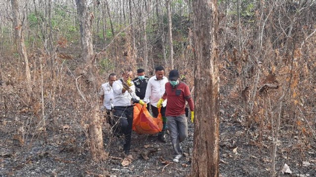 Petugas saat evakuasi mayat laki-laki yang ditemukan di kawasan hutan jati milik di Desa Dander, Kecamatan Dander, Kabupaten Bojonegoro. Senin (07/08/2023).