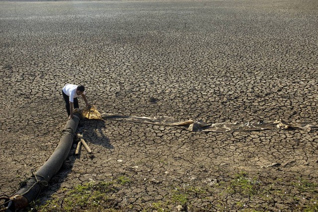 Petani merapihkan selang air yang tidak terpakai akibat waduk mengering di Juntinyuat, Indramayu, Jawa Barat, Selasa (7/8/2023). Foto: ANTARA FOTO/Dedhez Anggara