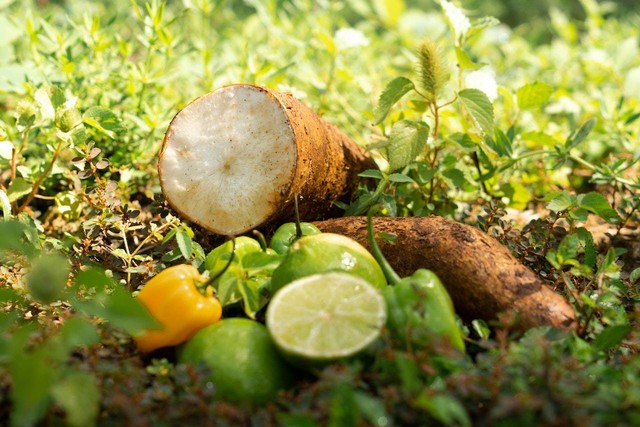 Cara Membuat Makanan dari Singkong, Foto: Pexels/ Ivonne Arceo