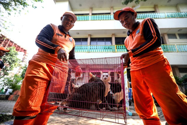 Petugas PPSU membantu membawa hewan peliharaan saat penyelenggaraan vaksin rabies gratis di Kantor Kelurahan Cempaka Putih Barat, Kecamatan Cempaka Putih, Jakarta Pusat, Selasa (8/8/2023). Foto: Jamal Ramadhan/kumparan