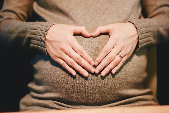 Ilustrasi fertilisasi adalah proses ibu hamil. Foto: Pixabay.