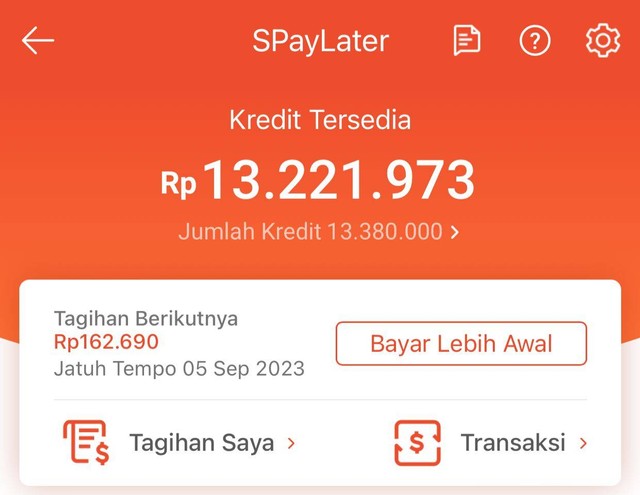 Gaya Selangit Tagihan Melilit, Fitur Paylater Shopee Tuai Perilaku ...