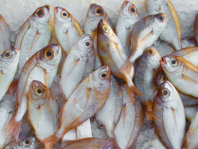 Cara Membuat Bakso Ikan Sederhana. Foto: Pexels/mali maeder. 