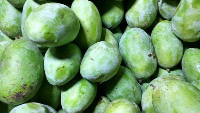 Cara Membuat Manisan Mangga Muda, Foto: Sandeep Handa / Pixabay