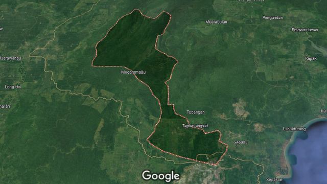 Peta Desa Tepian Langsat (Source: Google Maps)