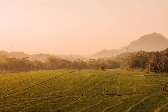 Ilustrasi lagu bahasa Sunda. Foto: Unsplash/Ilmi Amali Q.A