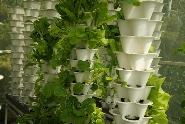 Ilustrasi vertical farming sederhana. Sumber: Pixabay