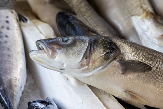 ilustrasi Cara Masak Ikan Kembung. Unsplash/engin akyurt.