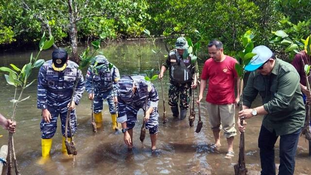 Penanaman bibit mangrove oleh Lantamal VIII Manado dan PLN UID Suluttenggo di Likupang, Minahasa Utara. (foto: istimewa)