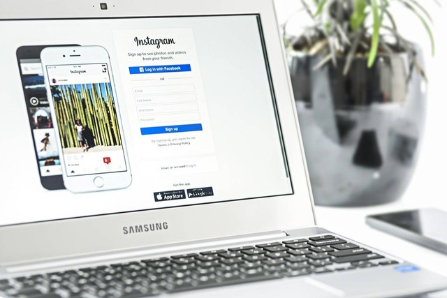 Ilustrasi bio ig aesthetic bahasa jepang - Sumber: pixabay.com/photomix-company