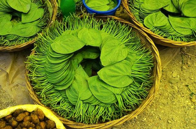 Manfaat minum daun sirih. Sumber: pexels.com/Amarendra Kishore