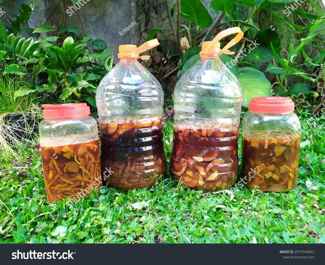 Eco enzyme (source: https://www.shutterstock.com/image-photo/eco-enzyme-fermentation-process-bottles-jars-2019746063)
