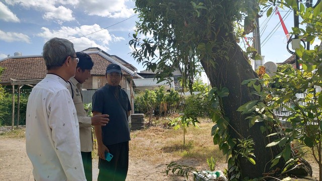 Peninjauan pohon sawo tua di depan rumah Triyoso oleh dosen Fakultas Kehutanan UGM dan tokoh masyarakat setempat. Foto: Widi RH Pradana/Pandangan Jogja