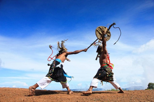 Ilustrasi tari Caci khas Manggarai. Foto: Shutterstock