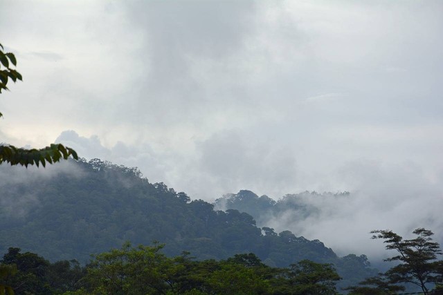 Ilustrasi Gunung Leuser, Taman Nasional di Indonesia. (Sumber: Pixabay)