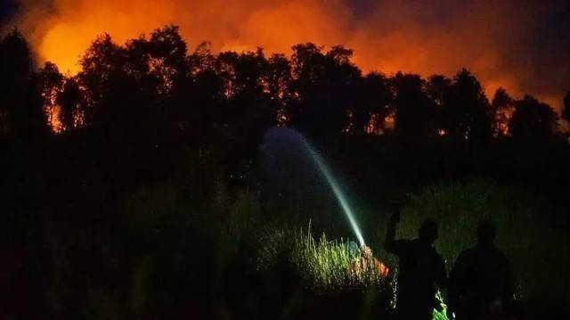 Dua orang petugas yang tengah memadamkan kebakaran lahan di Kabupaten Ogan  Ilir Sumatera Selatan, Foto: abp/Urban Id