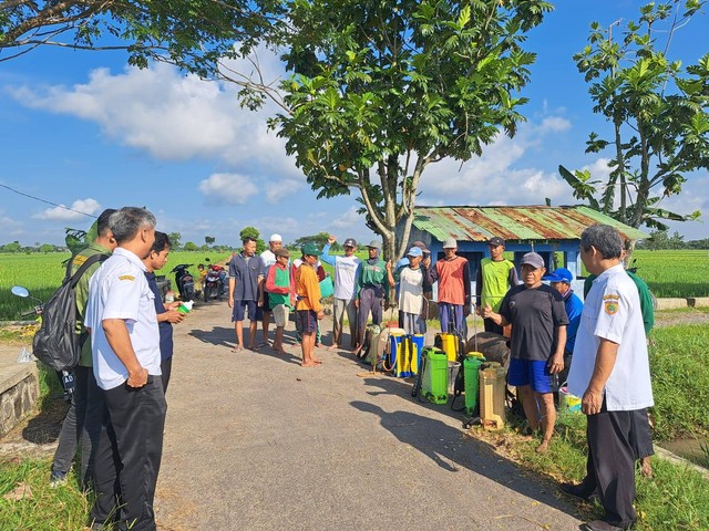 Semangat petani mengikuti kegiatan penyuluhan pertanian di lahan sawah petani (Foto dok. Koleksi pribadi)