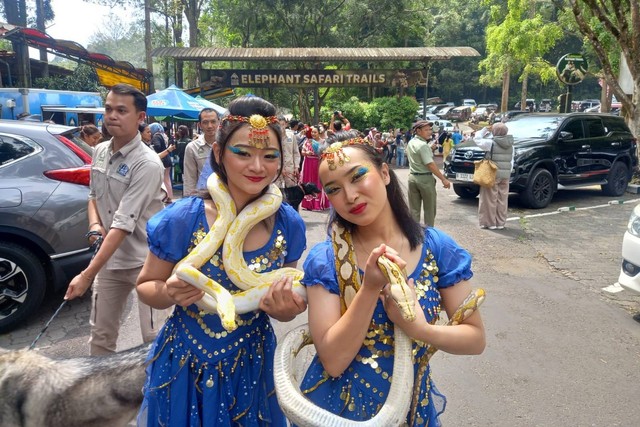 Taman Safari Bogor hadirkan parade budaya dan satwa. Foto: Taman Safari Bogor