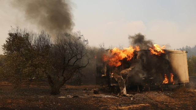 Kebakaran hutan Yunani Foto: REUTERS