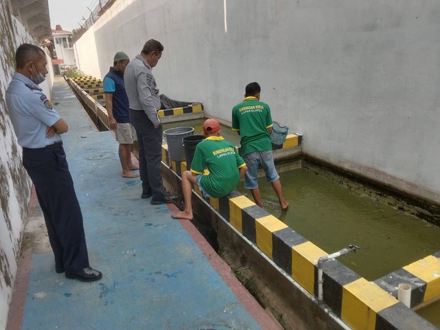 Optimalkan hasil panen, Lapas Klaten lakukan penyeplitan ikan lele