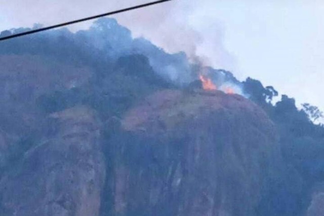 Gunung Bongkok yang terletak di Desa Sukamulya, Kecamatan Tegalwaru, Kabupaten Purwakarta, Jawa Barat terbakar. Foto: Dok. Istimewa