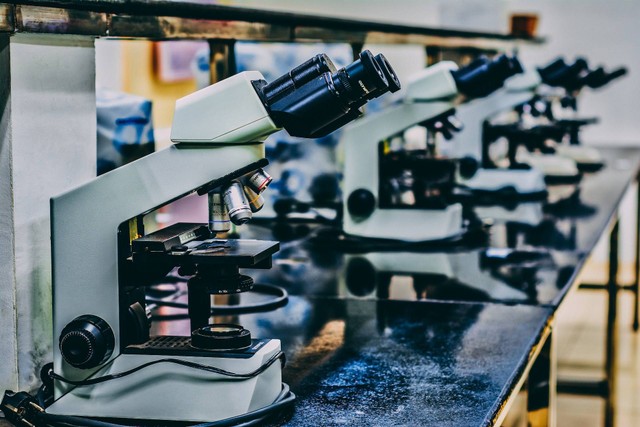 Ilustrasi Cara Menjaga Keselamatan di Laboratorium IPA. Sumber: Unsplash/Ousa Chea