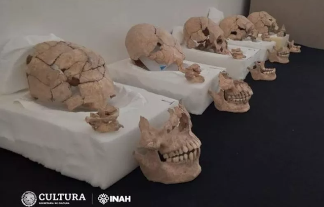 Belasan tengkorak Suku Maya ditemukan. Tunjukkan pratik ritual mengerikan.  Foto: INAH