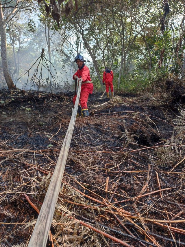 Petugas Manggala Agni saat menarik selang air untuk memadamkan Karhutla, Foto : Manggala Agni