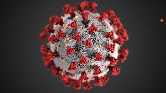 fungsi lempeng dasar pada virus. Sumber: pexels.com/CDC