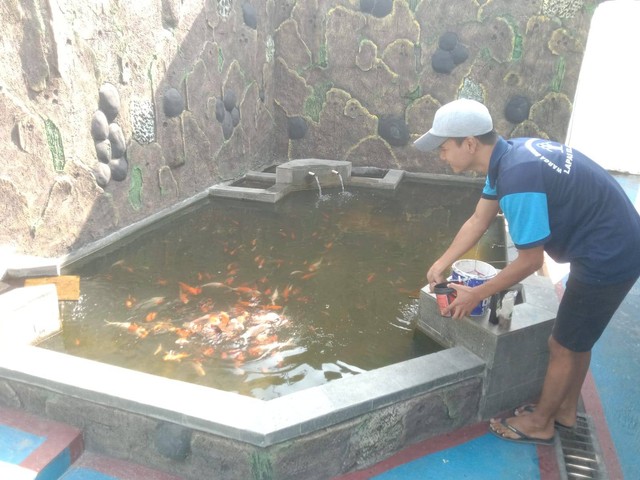 Optimalkan Budidaya Ikan Hias, Lapas Klaten Rutin Laksanakan Perawatan Kolam | kumparan.com