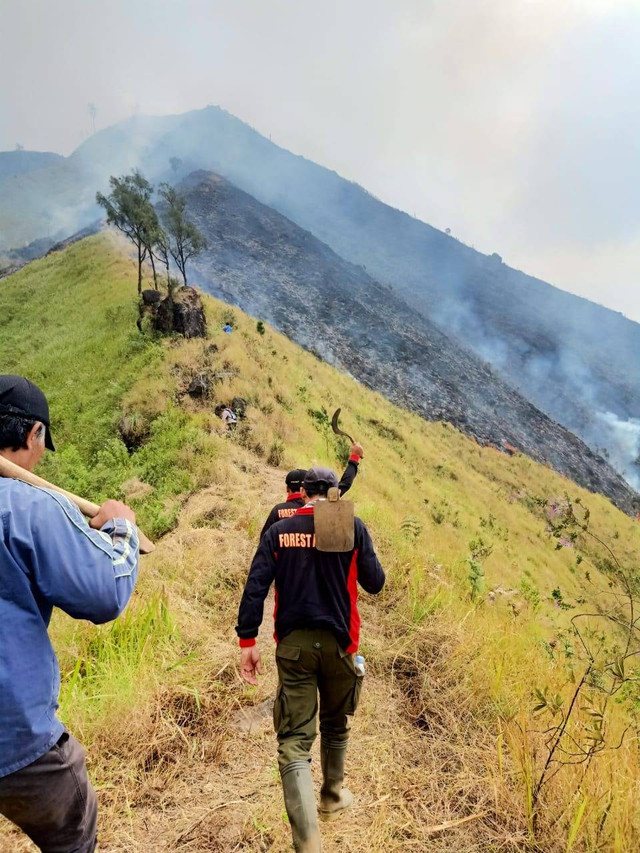 Hutan di Gunung Arjuno wilayah Kecamatan Singosari, Kabupaten Malang, Jawa Timur terbakar  Foto: BPBD Kabupaten Malang