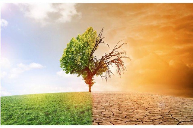 Salah satu dampak pemanasan global terhadap lingkungan adalah mencairnya es di Kutub Utara dan Selatan. Dok. Shutterstock/Sepp photography.