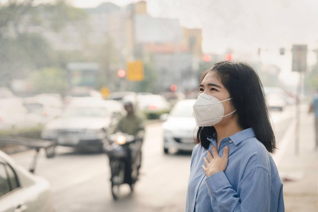 Ilustrasi polusi Jakarta. Foto: Deemerwha studio/Shutterstock