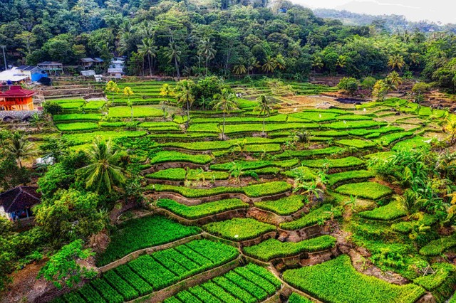 Ilustrasi Potensi Desa Desa dan Segala Potensinya (Foto : pexels.com/tom-fisk)