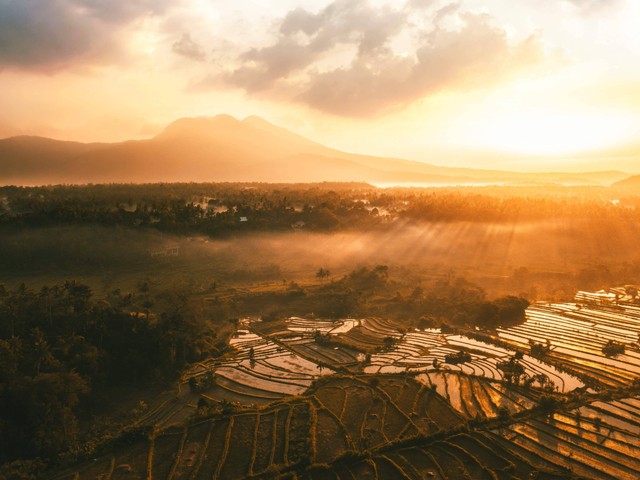 Ilustrasi Desa Wisata dan Landscape Persawahan dan Pegunungannya (Foto : pexels.com/stijn-dijkstra)