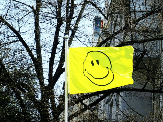 Ilustrasi Ciri-ciri Yellow Flag. Sumber: Unsplash