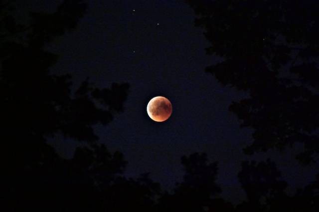Ilustrasi cara mengetahui sun, moon, rising sign, sumber foto: Dids by pexels.com
