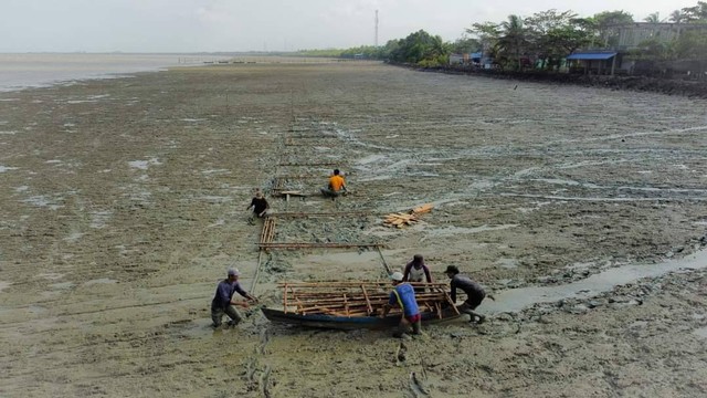 Mempawah Mangrove Conservation Upayakan Penyelamatan Pesisir Pantai Keramat Kepiting dan Sengkubang di Kabupaten Mempawah. Foto: M Zain