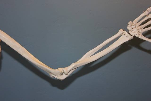 Contoh Tulang Pipa. Foto Hanya Ilustrasi. Sumber: Pixabay/ IAOM-US