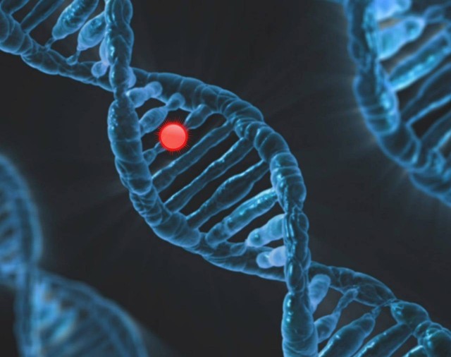 Ilustrasi Pengertian DNA. Foto: Pixabay.