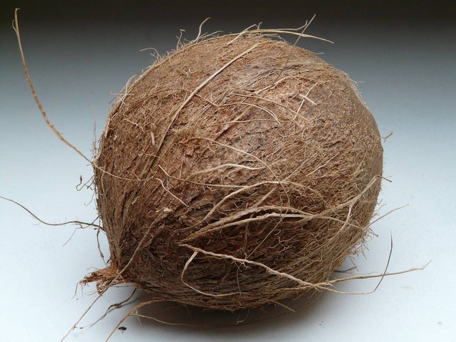Ilustrasi cara membuat cocopeat (Pixabay)